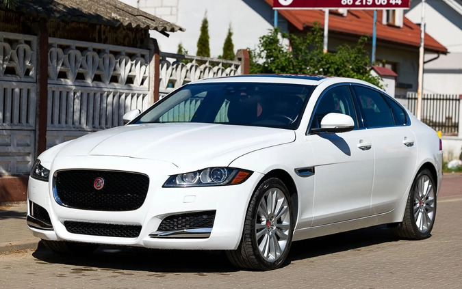 Jaguar XF cena 94000 przebieg: 56000, rok produkcji 2019 z Witkowo małe 326